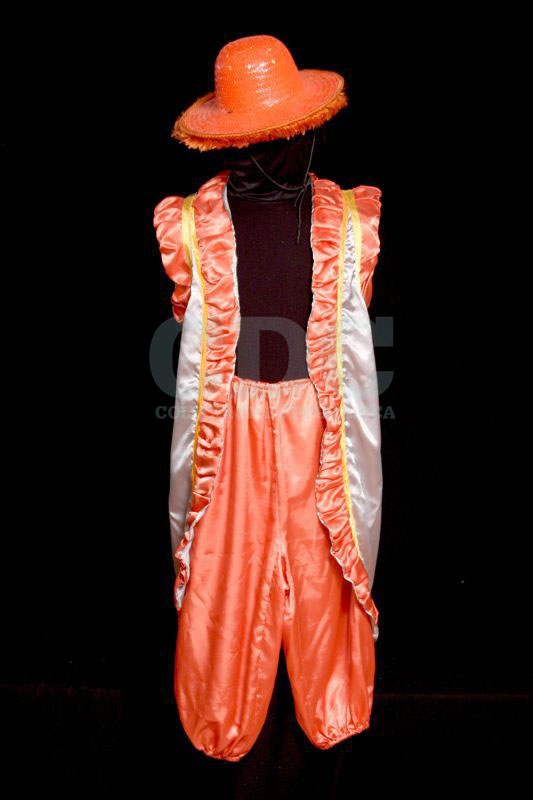 Traje de Lubolo. Indumentaria utilizada en carnaval y el candombe montevideano. Tela, Fibra sintética, Cordones de nylon, Pintura y Palma. 80 x 30 cms. URUGUAY Traje de Lubolo. Indumentaria utilizada en carnaval y el candombe montevideano. Tela, Fibra sintética, Cordones de nylon, Pintura y Palma. 80 x 30 cms. URUGUAY